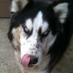 Meet your Posher, Sean